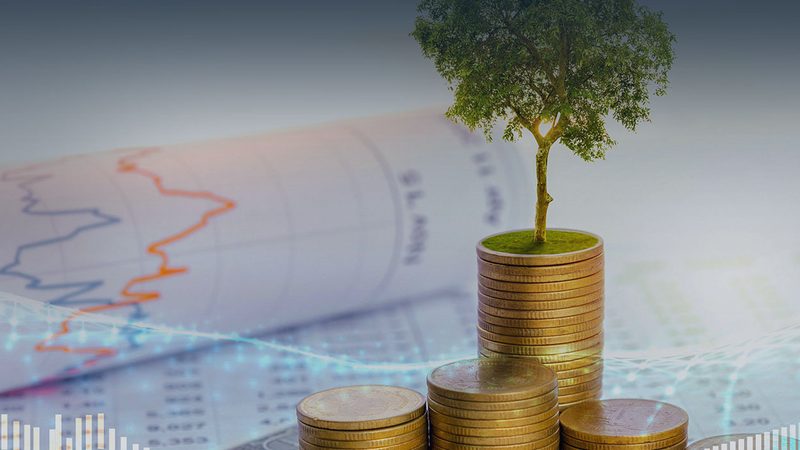 成都可研报告收费标准：揭秘企业决策的“隐形成本